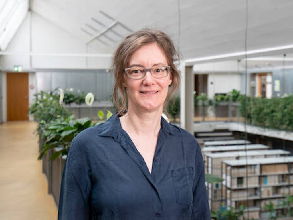 Andrea Haslinger