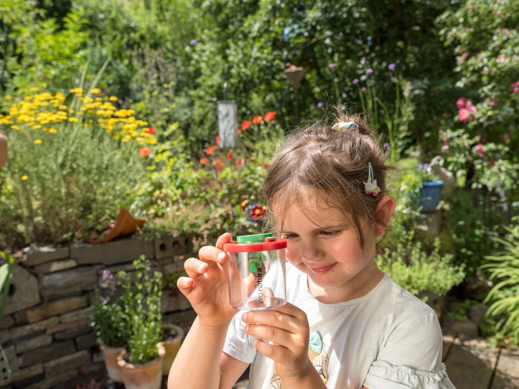 Vivants, les jardins naturels permettent aux enfants d’étancher leur insatiable curiosité.