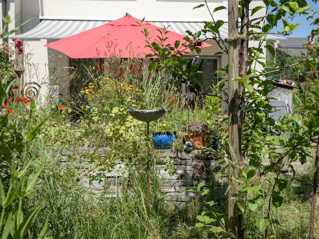 Les jardins naturels offrent un refuge à quantité d’espèces animales et végétales.