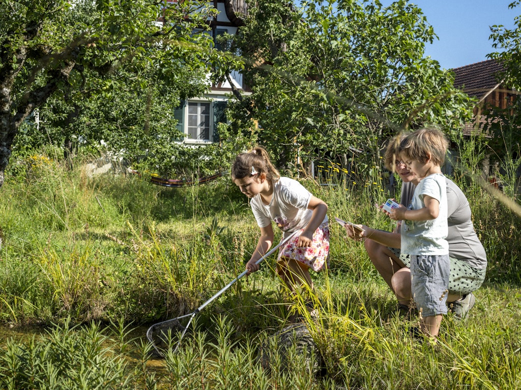 Ein naturnaher Garten lädt zum Verweilen, Beobachten und Entdecken ein.