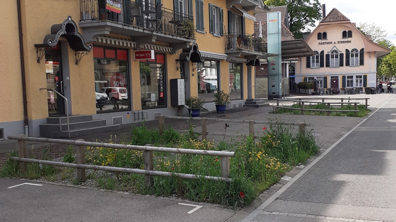 Ruderalflächen in der Fussgängerzone in Bern Bümpliz.