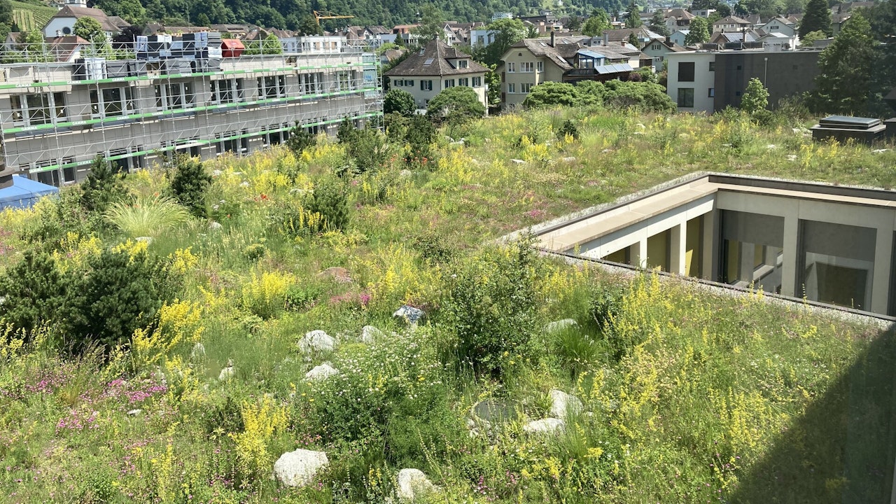 Üppig begrüntes Flachdach des Kantonsspitals Uri in Altdorf.