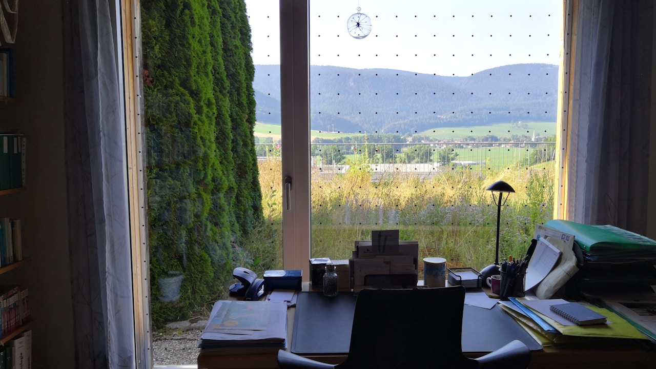 Der Blick nach draussen ist noch schöner, wenn das Glas keine Gefahr mehr für Vögel ist.
