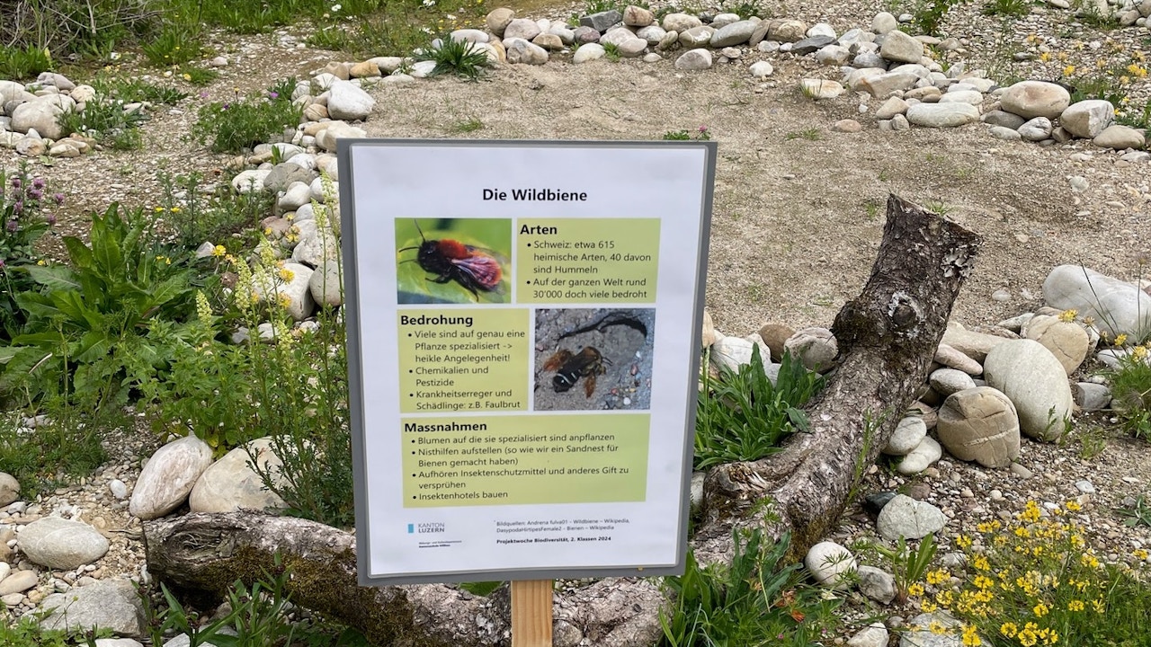 Werbung für die Natur: Informationstafeln zeigen, was hier wächst und wuselt.