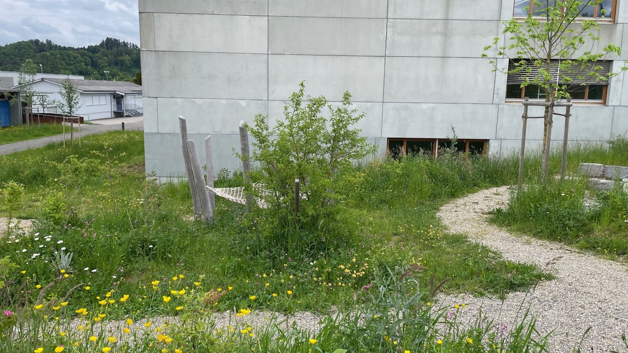 Die gesamte Schulhausumgebung der Schule Willisau erhielt eine biodiverse, naturnahe Arealgestaltung.