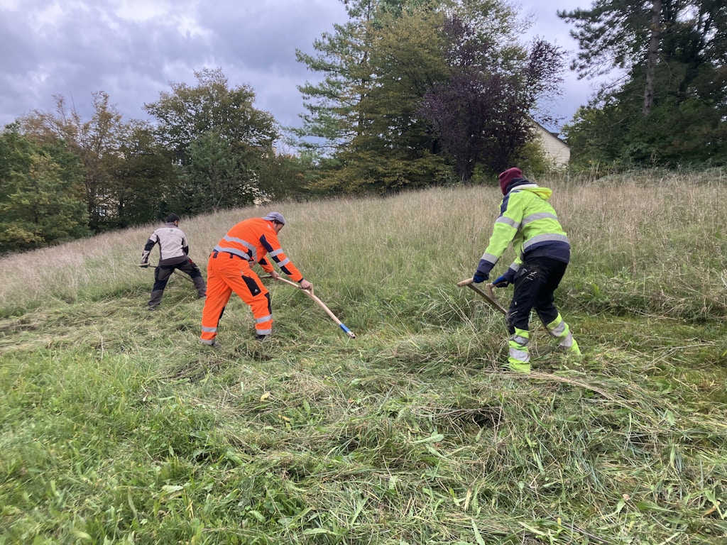Sensenmahd im Kurs Naturnahes Grün II