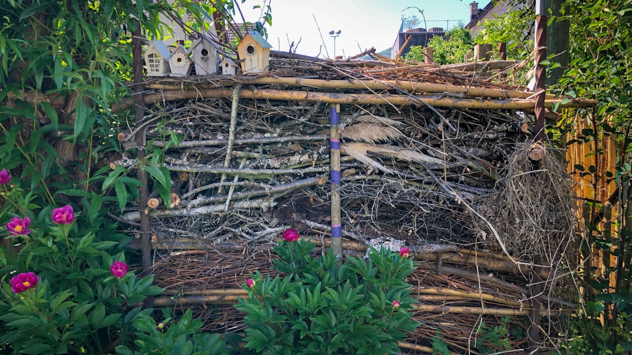 Siepe di Benjes ai margini del giardino per garantire privacy e favorire la biodiversità.