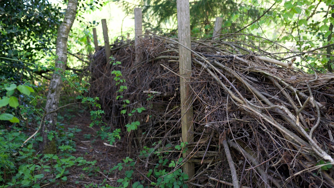 Una siepe di legno morto permette di reintegrare nel ciclo naturale il materiale potato nel proprio giardino.