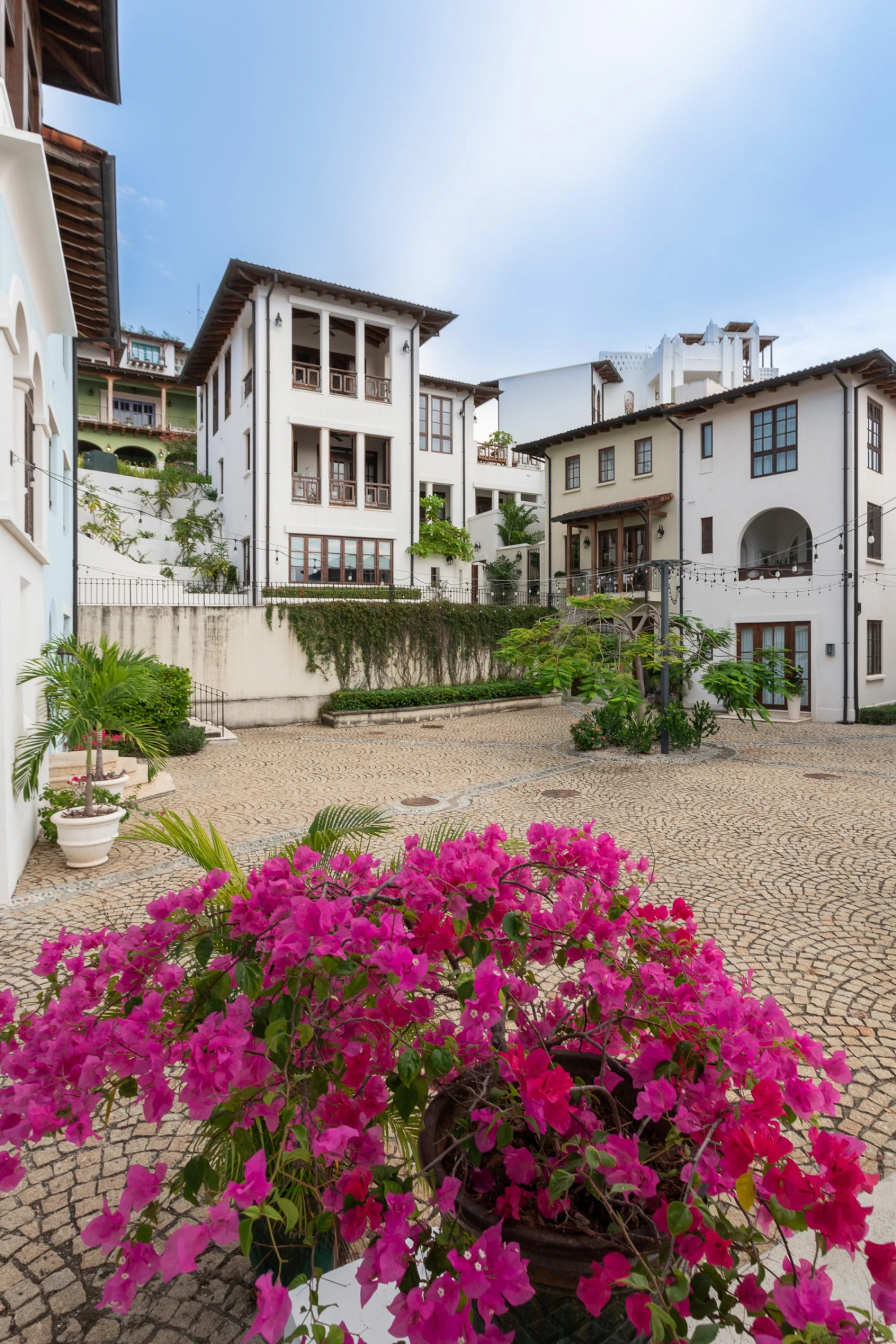 Casa Plumeria | 8 Calle Virginia