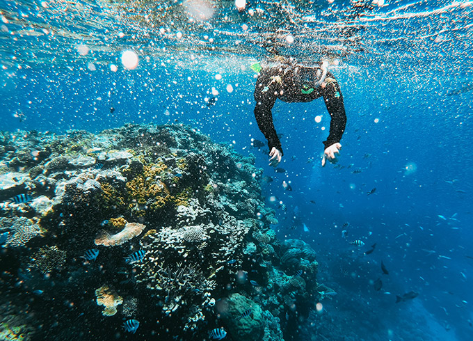 a person swimming with coral in the ocean