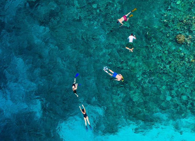 aerial shot of people snorkeling in the ocean