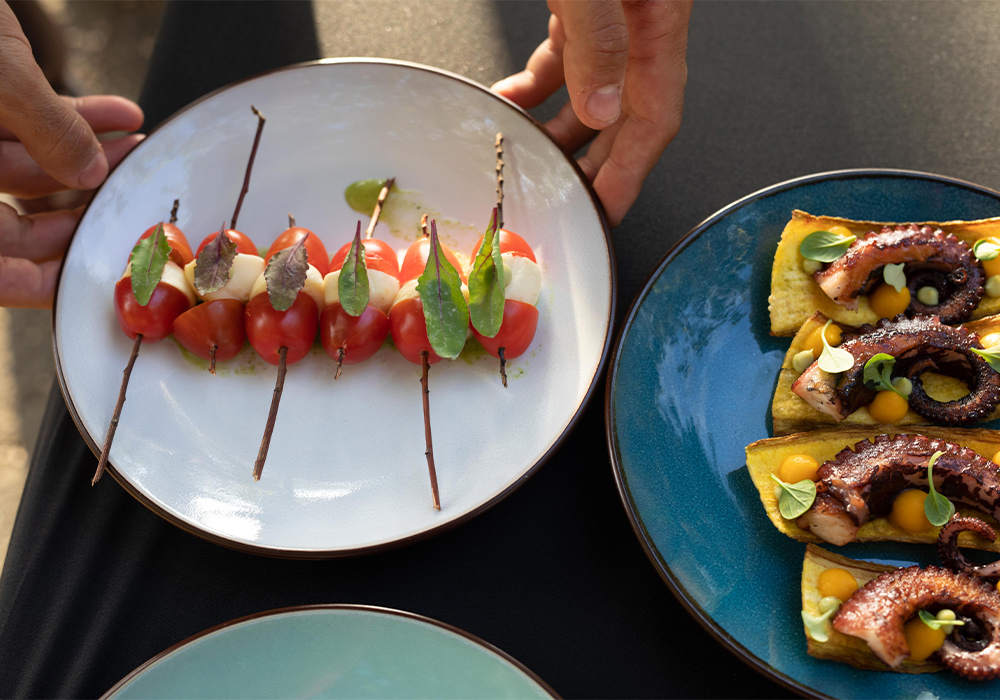 caprese skewers on a plate and octopus appetizer on a plate