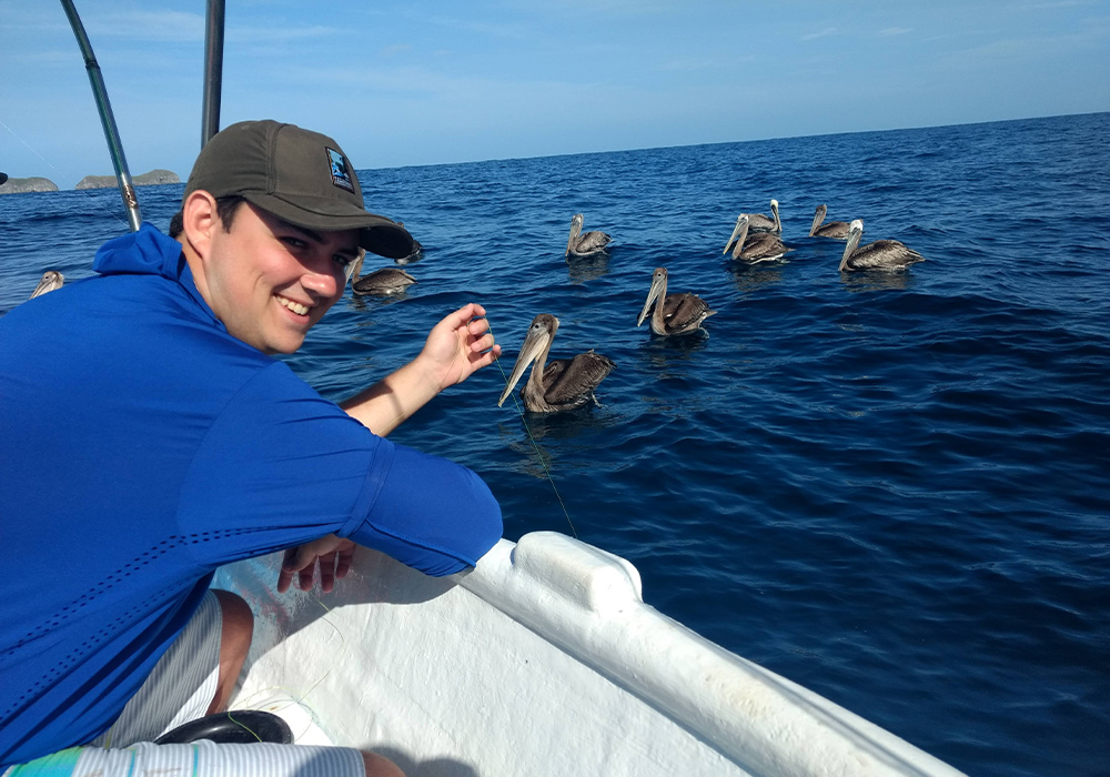 a person on a boat and multiple pelicans swimming in the ocean