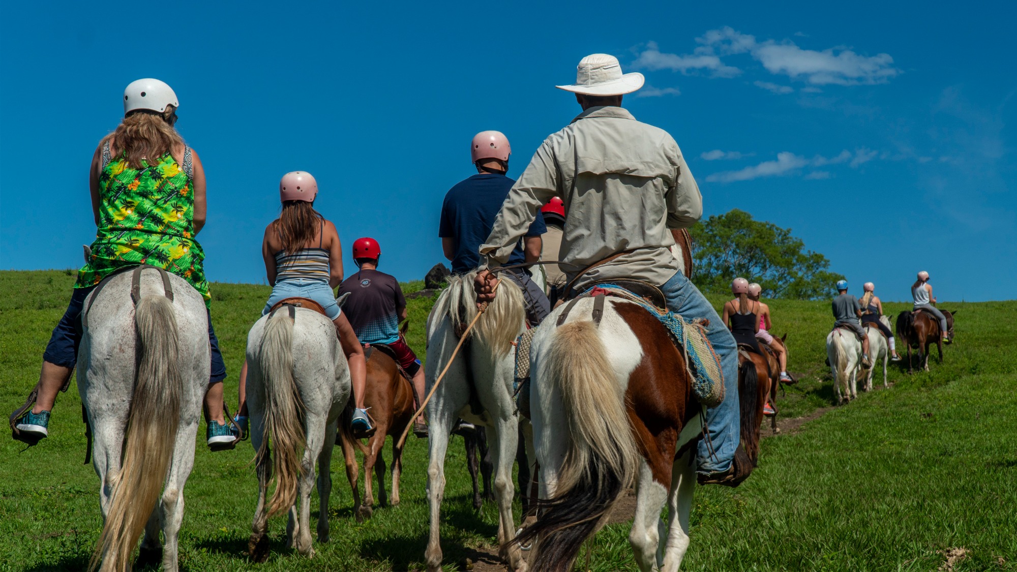 Horseback riding