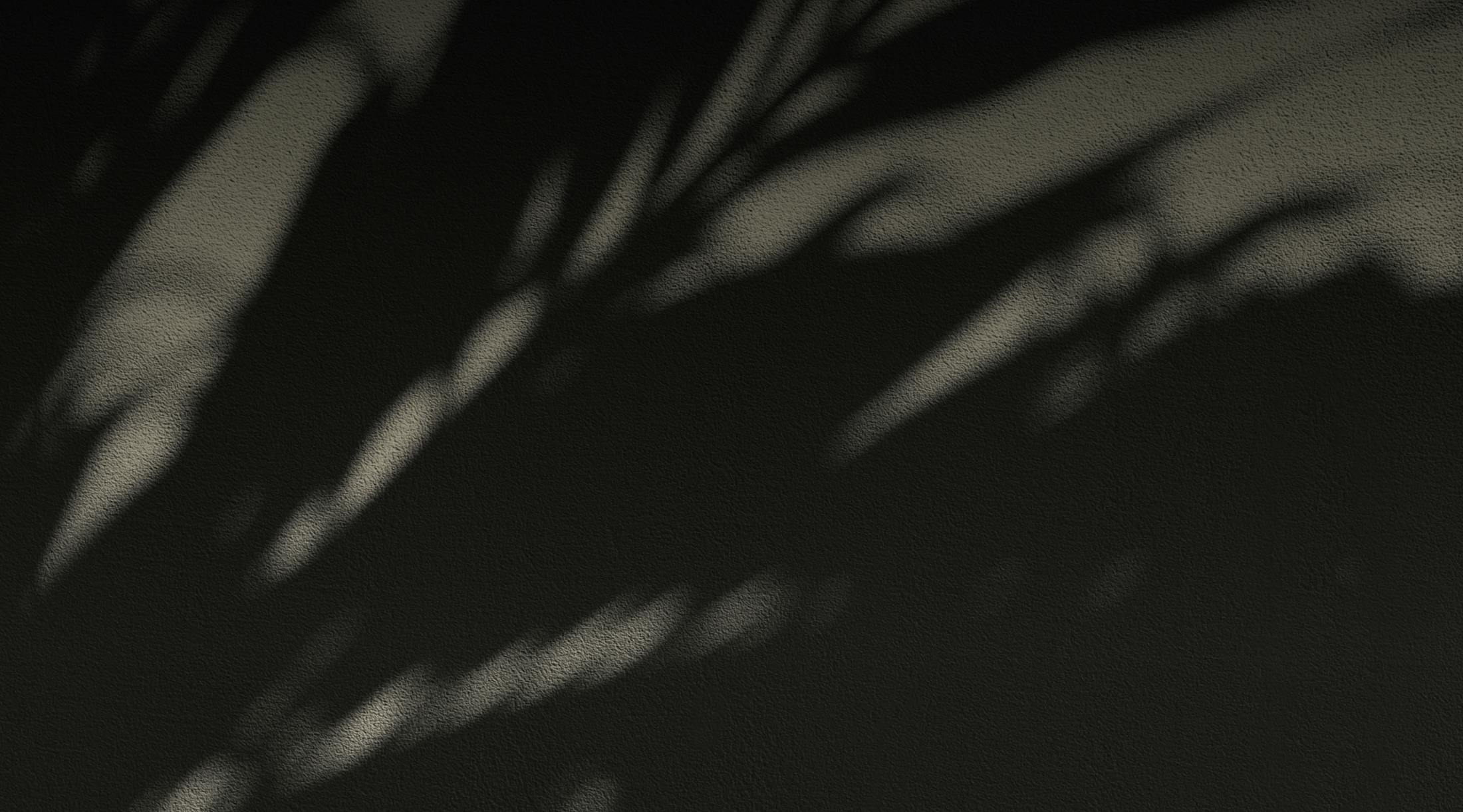 shadows on a plant leaf