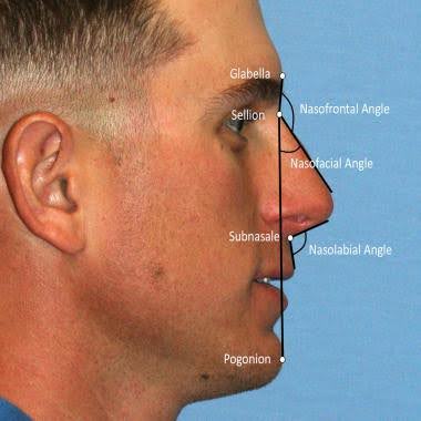 man's nose shape infographic