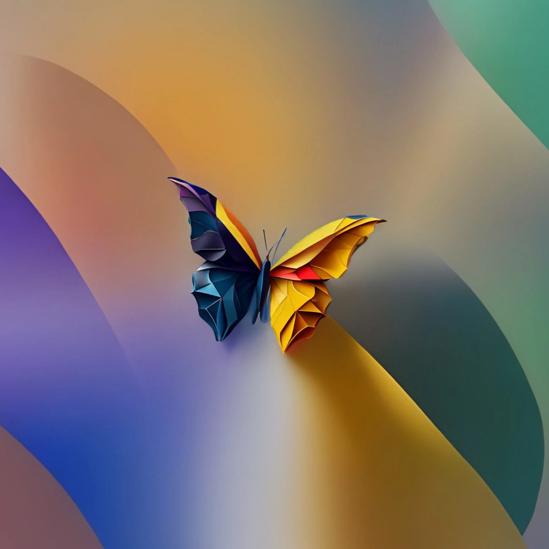 Butterfly
