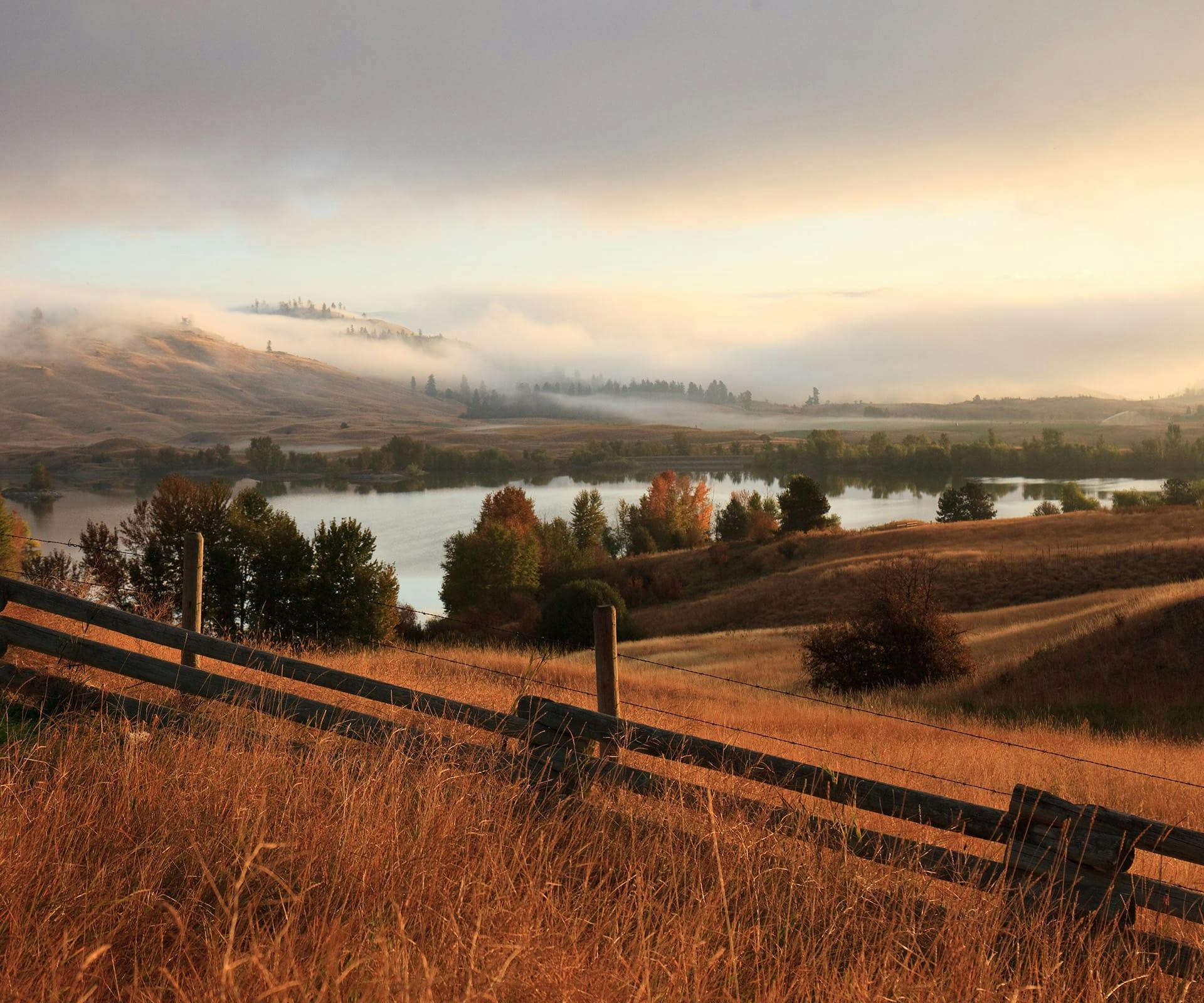 rolling fields at dawn