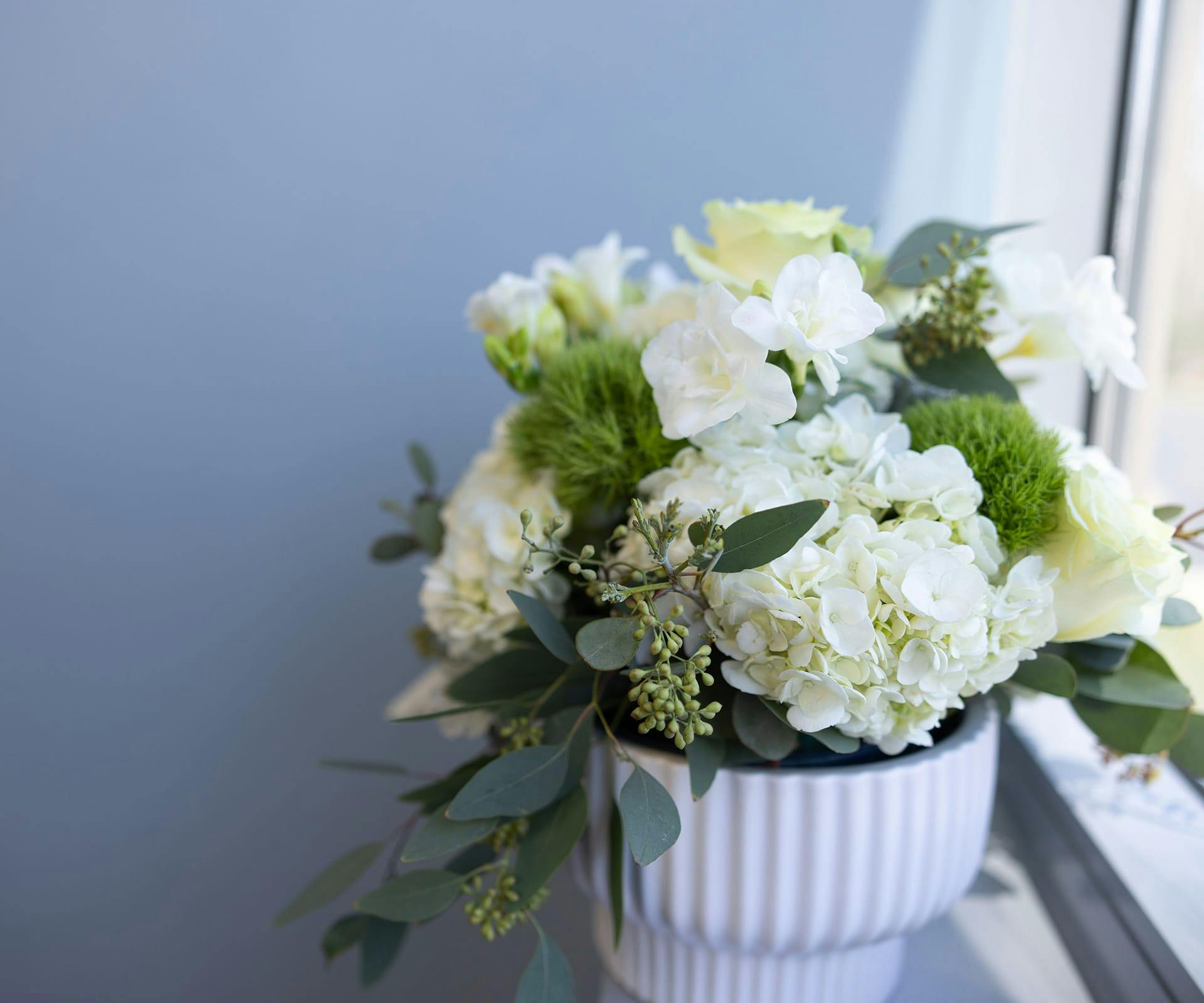 white flowers in a pot
