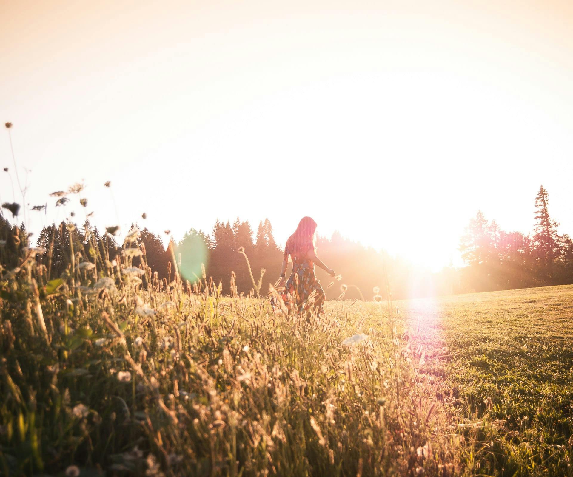 woman in sunny field