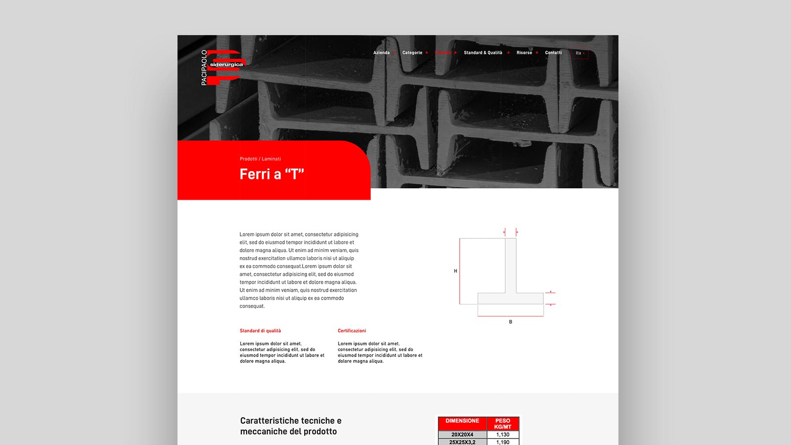 Website Paci Paolo Siderurgica