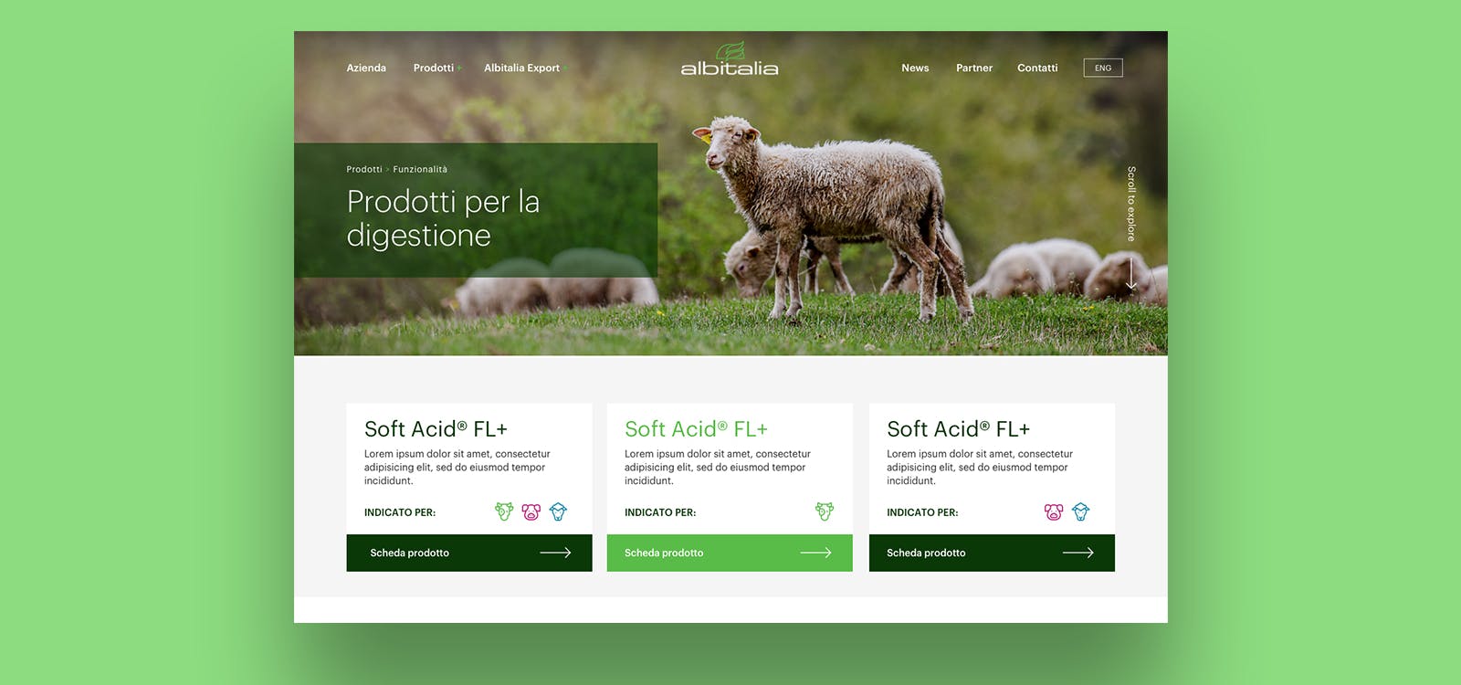 Website Albitalia Website Albitalia