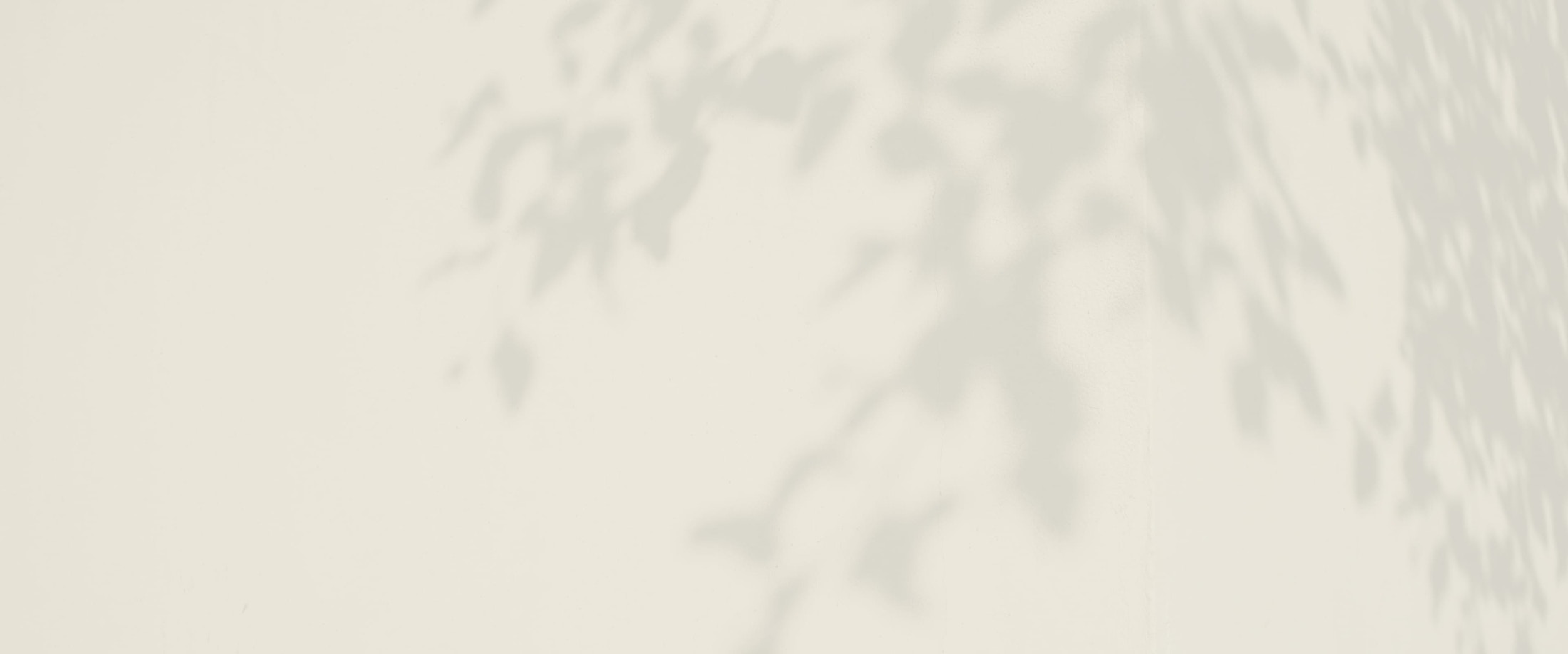 Banner media