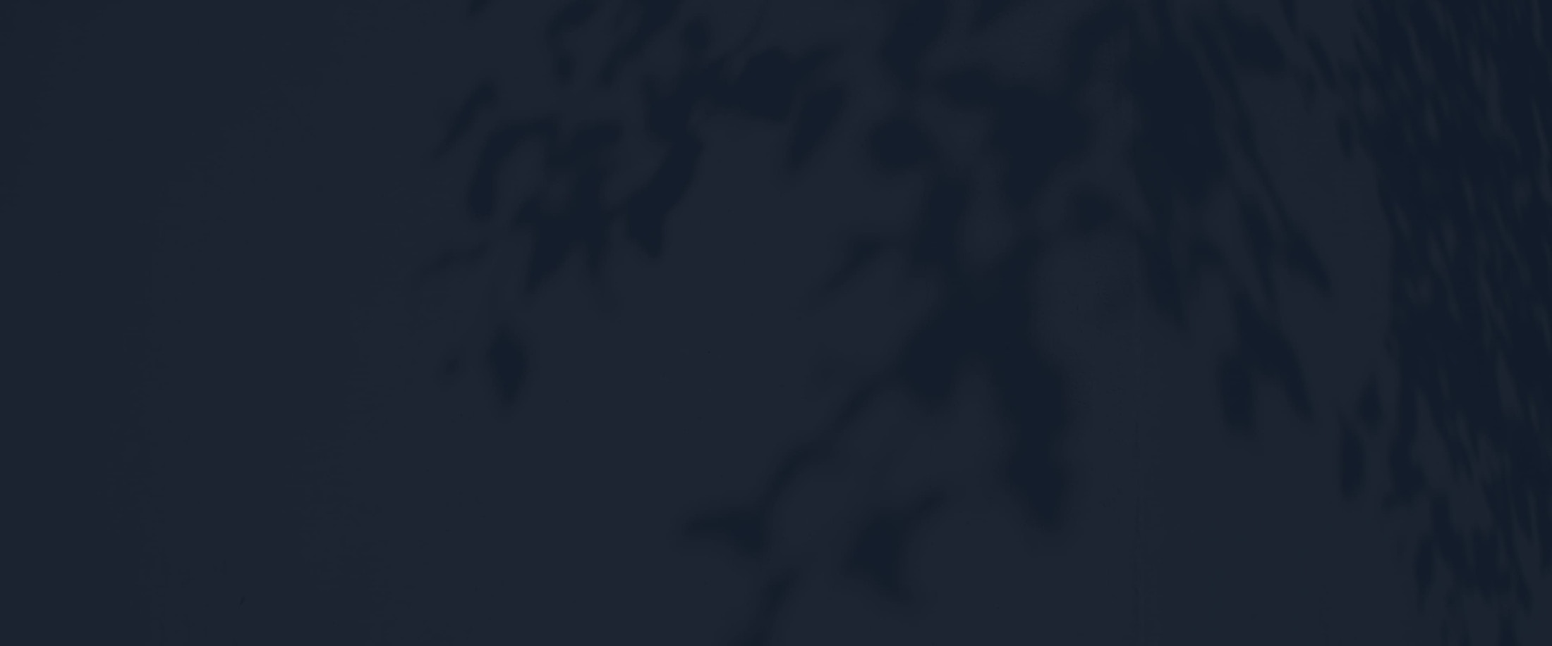 Banner media