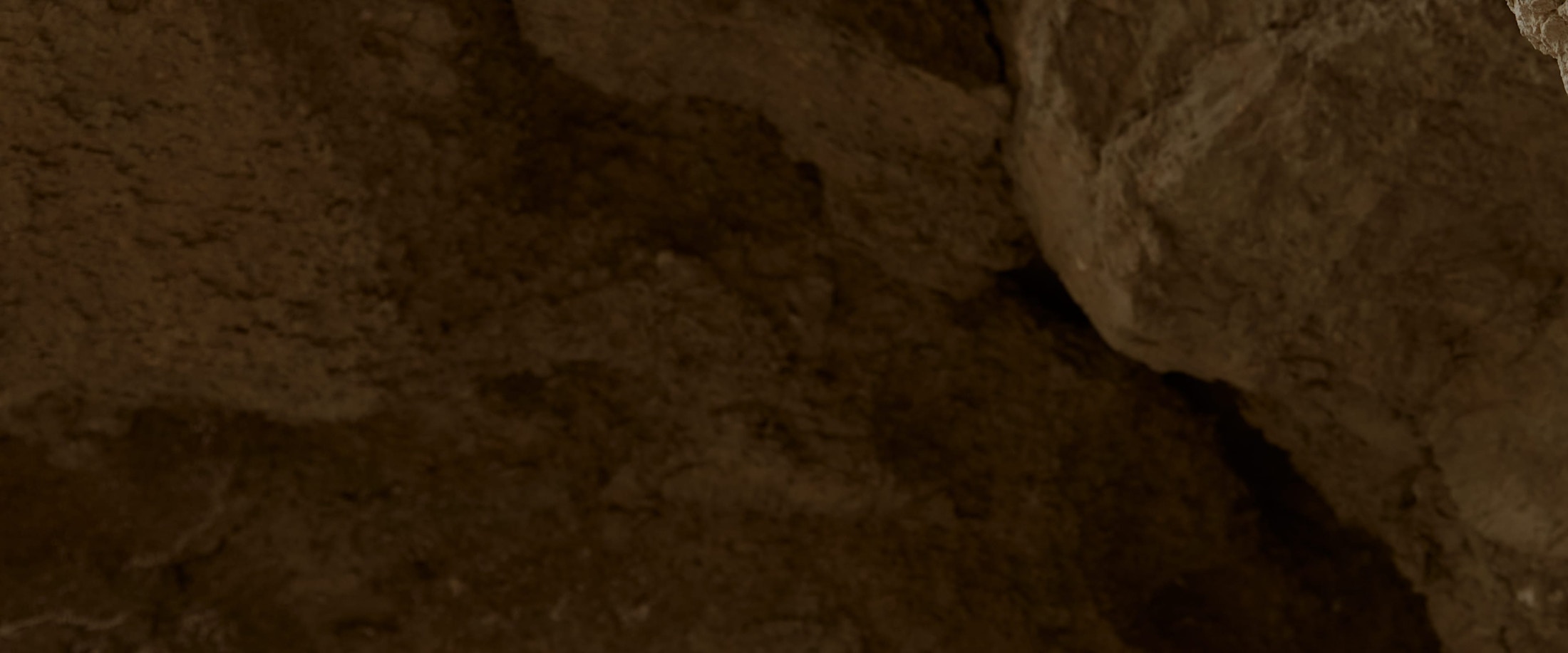 Banner media