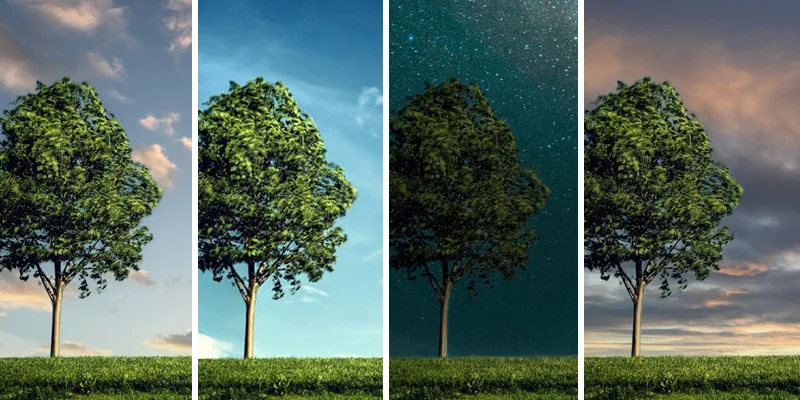 Fire billeder af det samme træ, hvor himlen er blevet udskiftet på hvert billede til en ny himmel vha Photoshop's funktion Sky Replacement