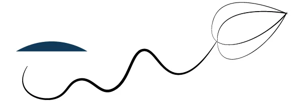 Billede af Adobe Illustrator Width profile 6: Stregen der bygger tykkelse op for derefter at tone ud.