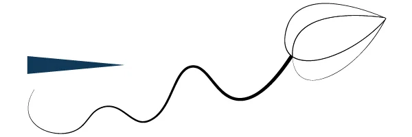Billede af Adobe Illustrator Width profile 4: Stregen der langsomt forsvinder.