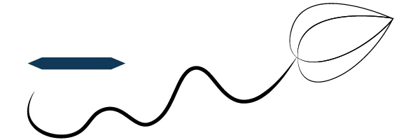 Billede af Adobe Illustrator Width profile 3: Stregen der starter og slutter med en spids, men hvor tykkelsen er konstant.