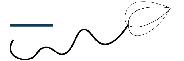 Billede af Adobe Illustrator Uniform funktionen: Standarden eller normalstregen. Ens tykkelse hele vejen.