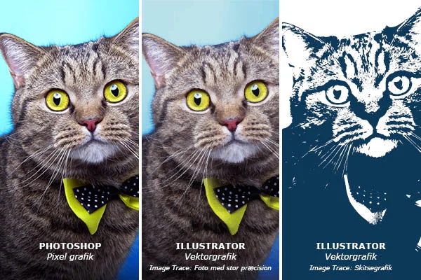 tre forskellige billeder af den samme kat, vist i pixel grafik, image trace vektorgrafik og to farver vektorgrafik
