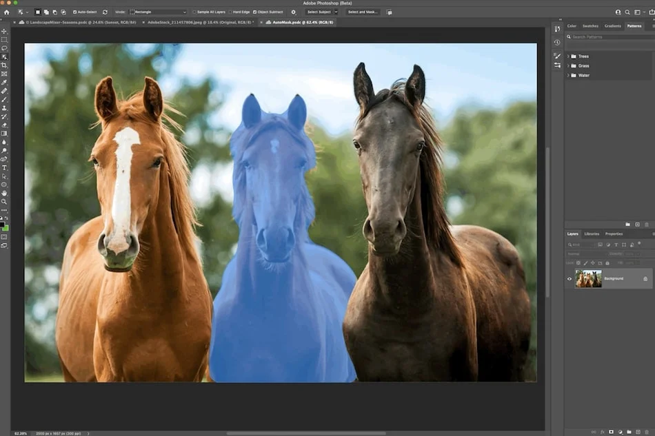 Adobe Photoshop programmet er åbent og man kan se et billede af 2 heste som kigger mod kameraet. En af heste er markeret med en blå farve i Photoshop.