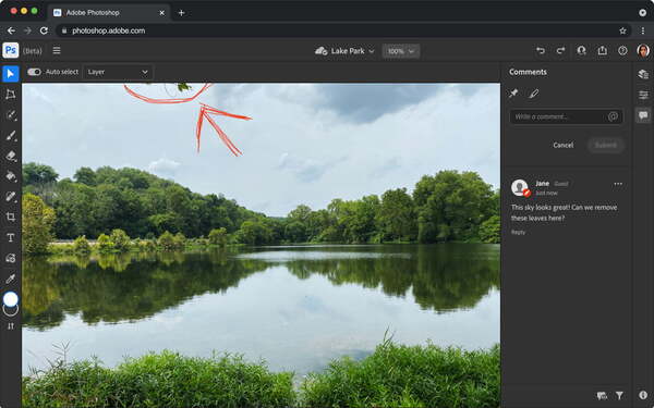 Adobe Photoshop programmet er åbent og man kan se en uønsket gren som kommer ind i billedet. Grenen er markeret med rødt.
