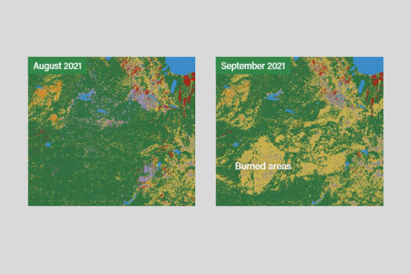 Dynamic World— Land & Carbon Lab