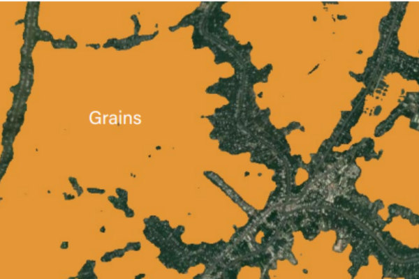 Dynamic World— Land & Carbon Lab