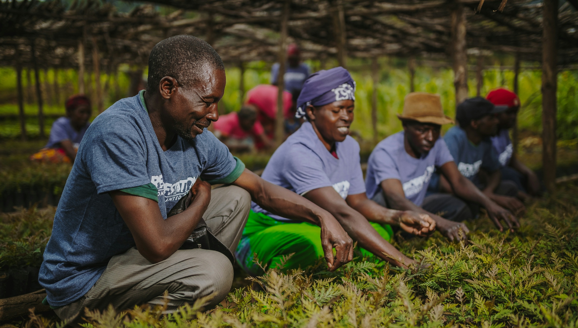 Land Based Greenhouse Gas Emissions And Sequestration