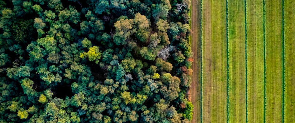 Global Land Cover Change— Land & Carbon Lab