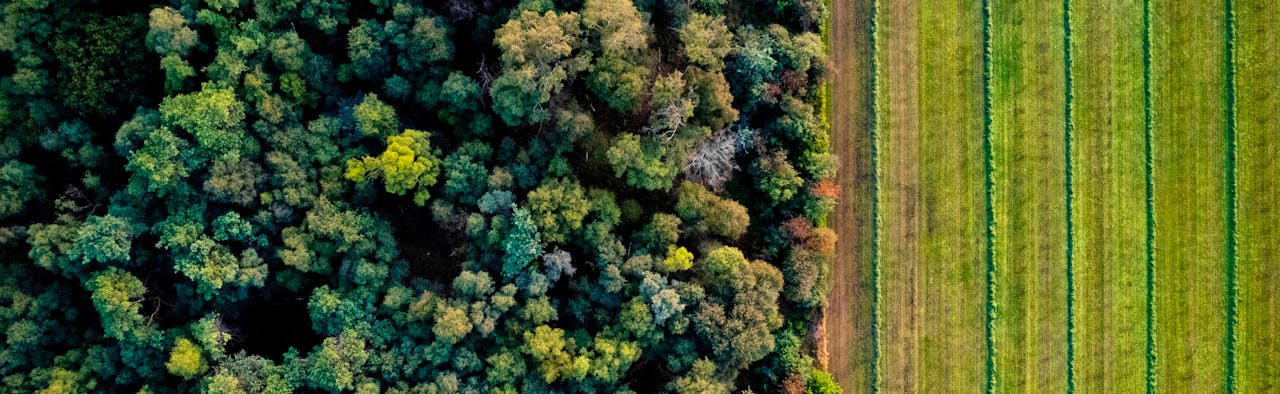 Global Land Cover Change— Land & Carbon Lab