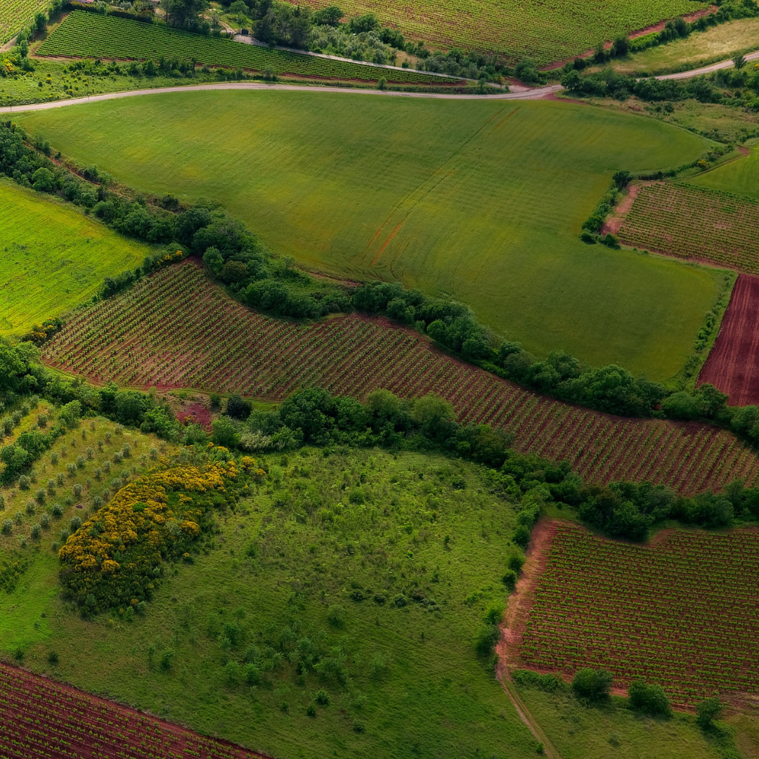 Improve agriculture and food system sustainability