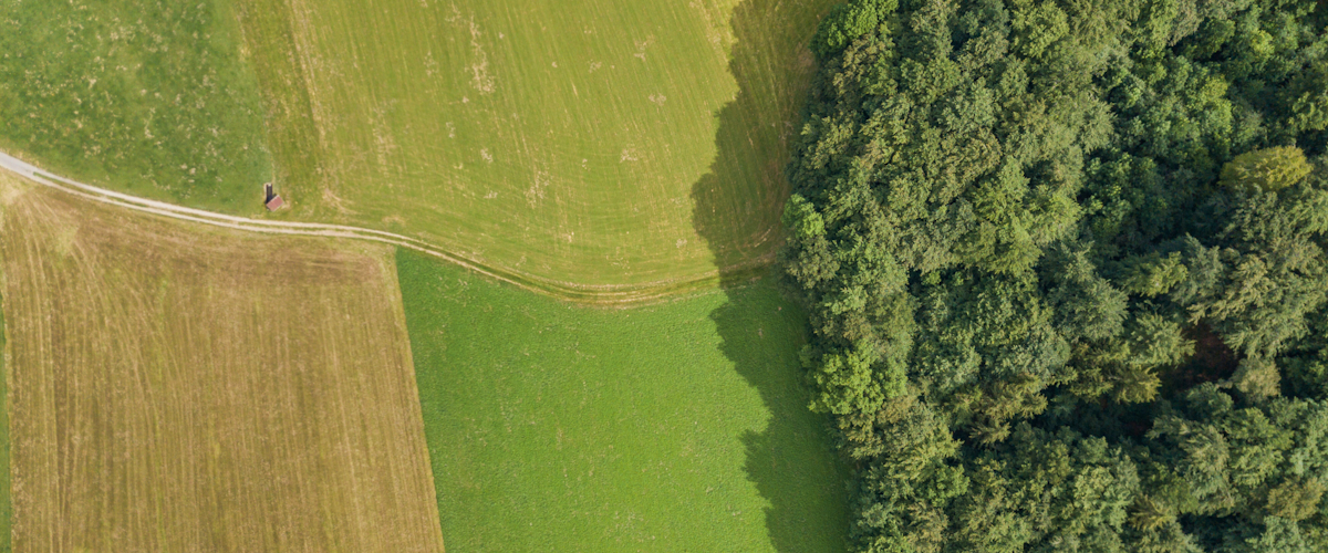 Land Based Greenhouse Gas Emissions And Sequestration