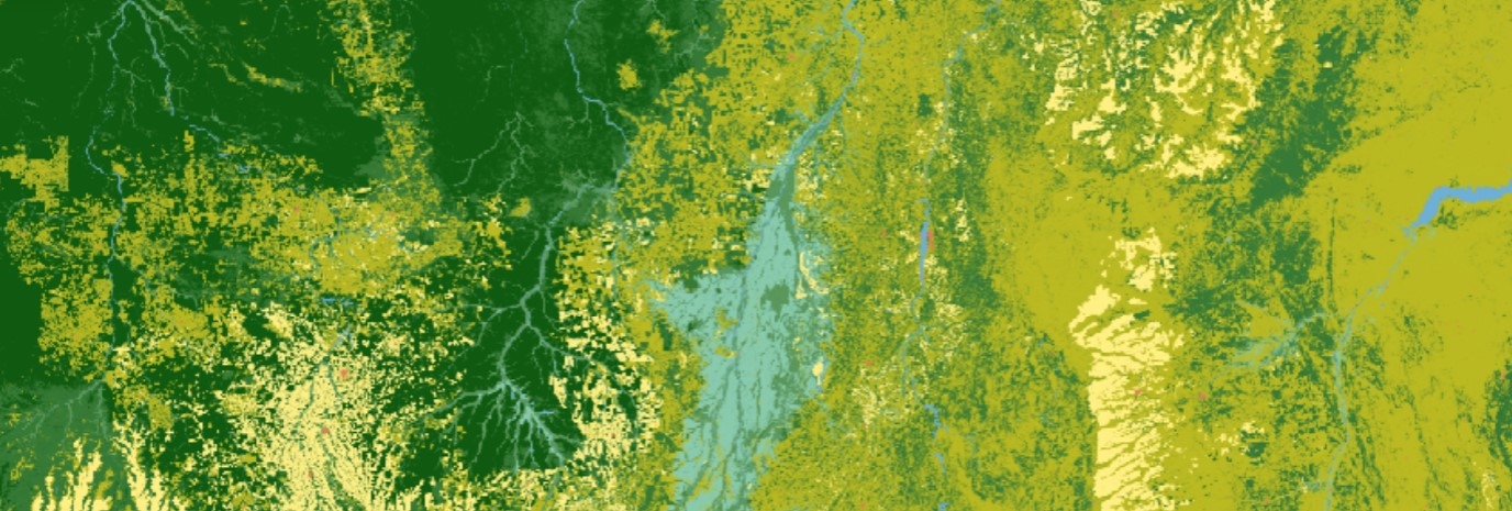 Global Land Cover Maps’ Accuracy and Applications Explained