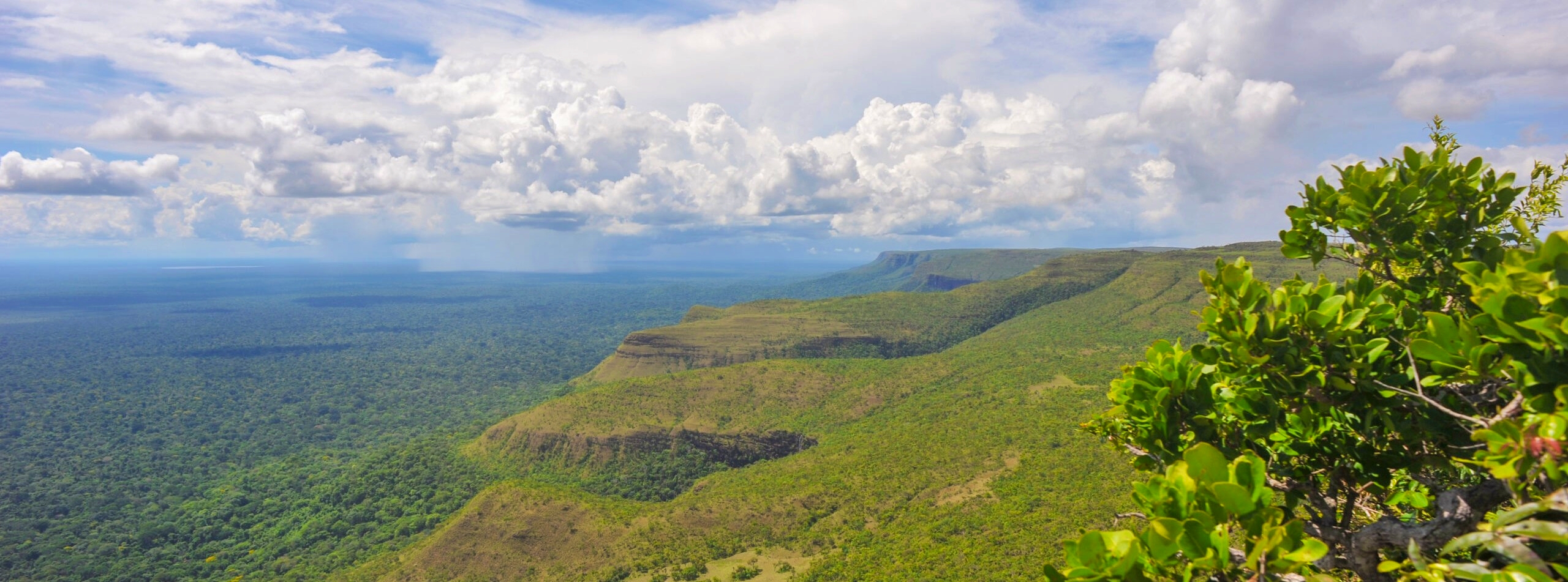 How UNESCO is Using Emissions Data to Help Safeguard World Heritage Forest Carbon Sinks