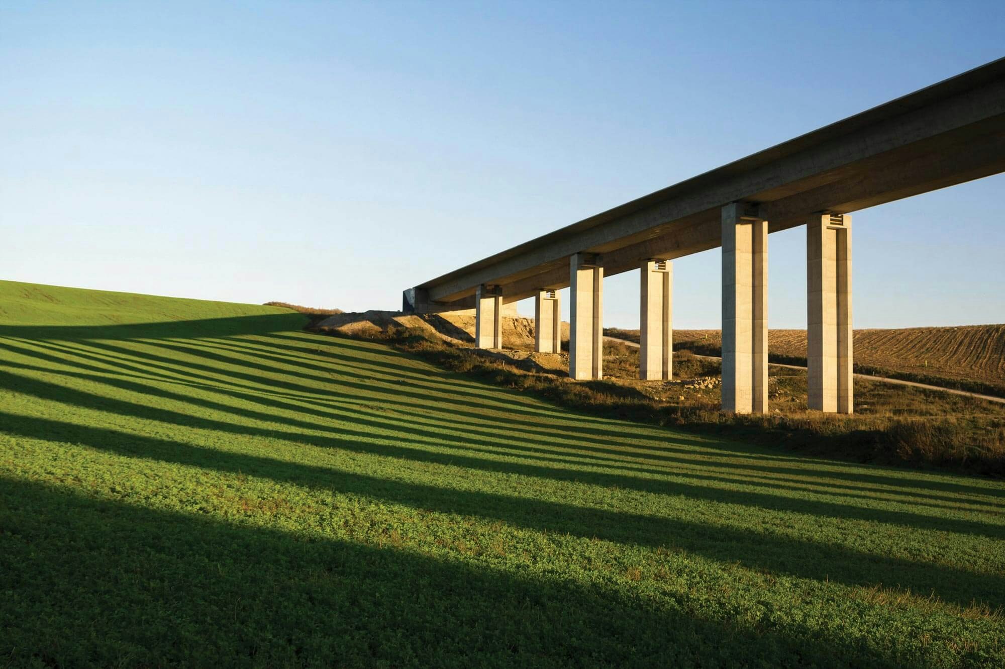 Image of grass
