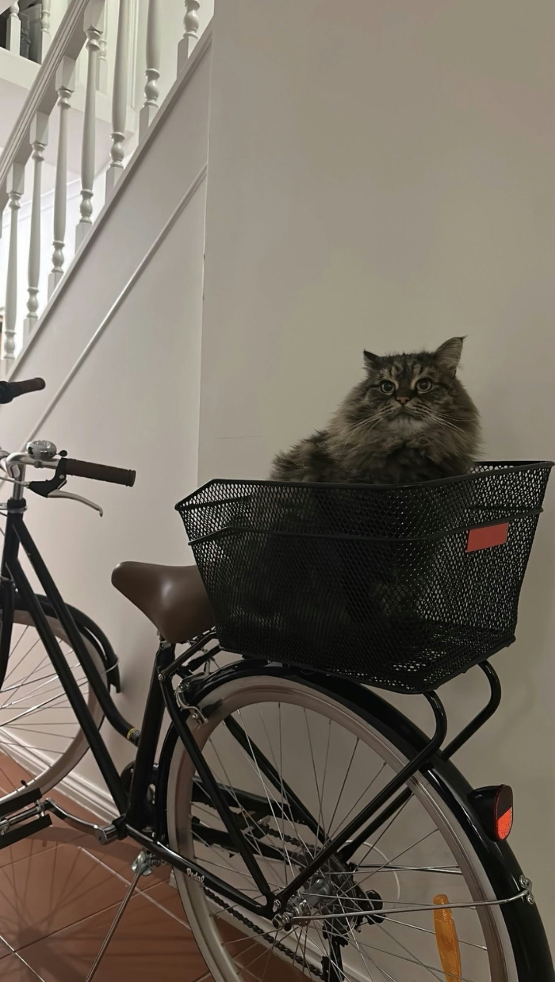Image of bicycle