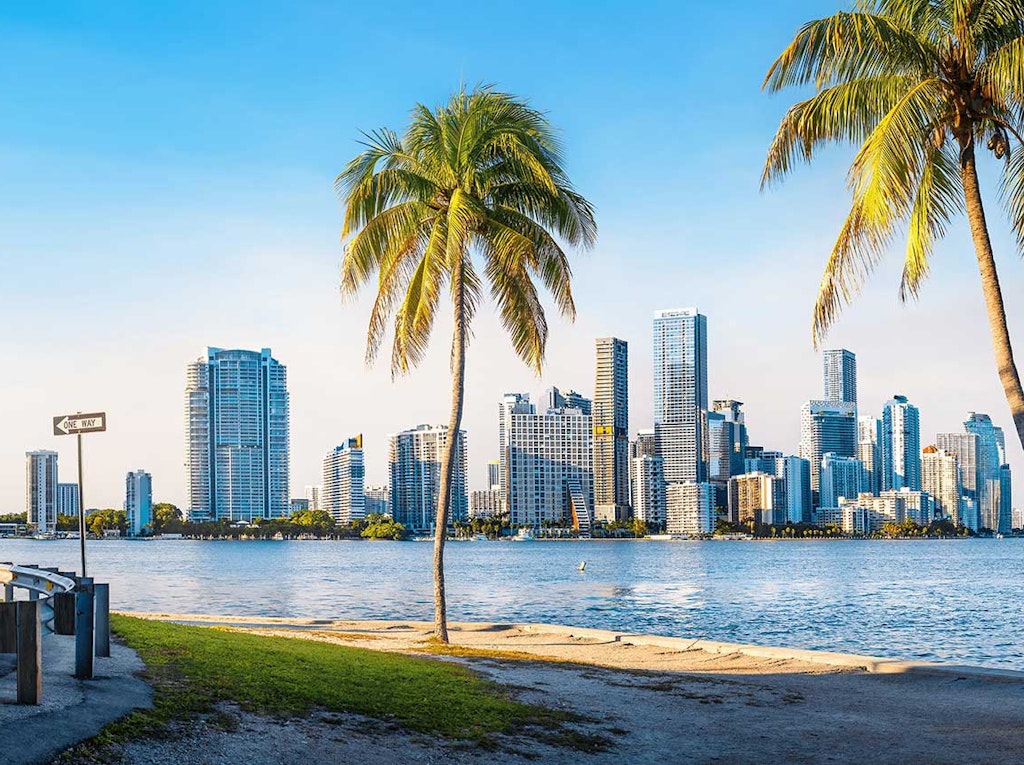 Miami skyline Miami skyline