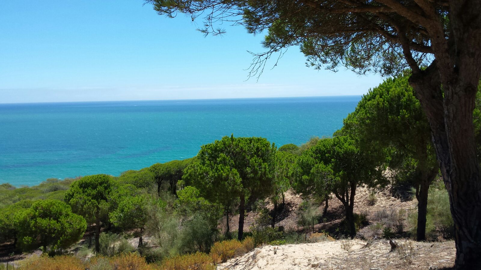 die  Meeresenge von Gibraltar mit azurblauem Wasser und leuchtend grünen Pinienwälder am Hang   